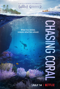 chasing coral