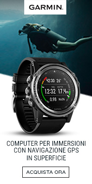 garmin descent garmin descent