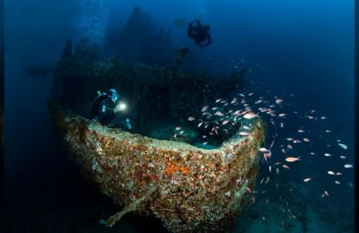 biodiversita relitto kent mediterrane