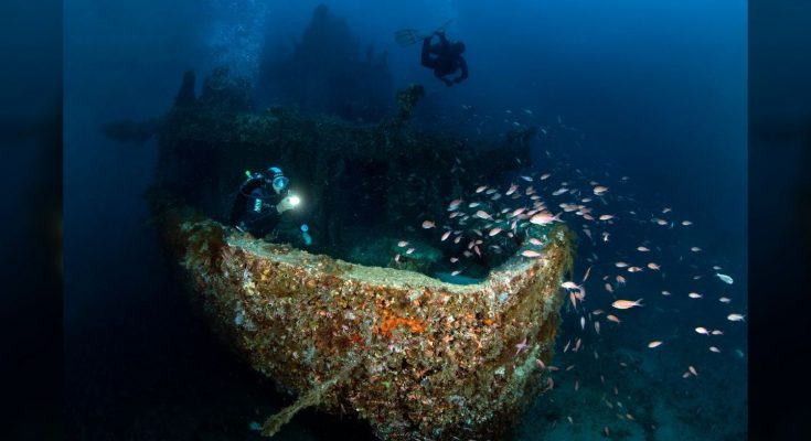 biodiversita relitto kent mediterrane