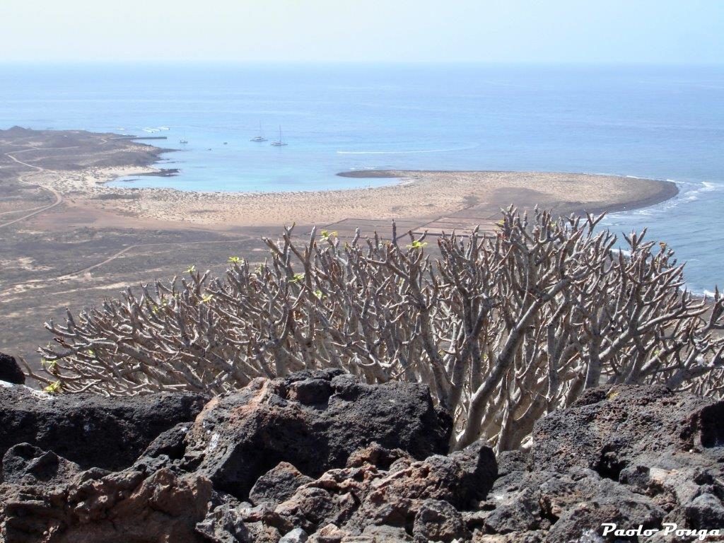 Fuerteventura