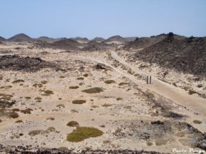 Fuerteventura