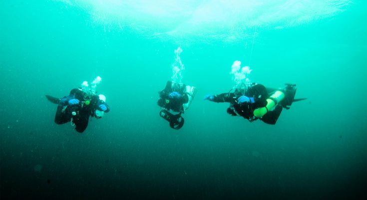 solo vs. team diving