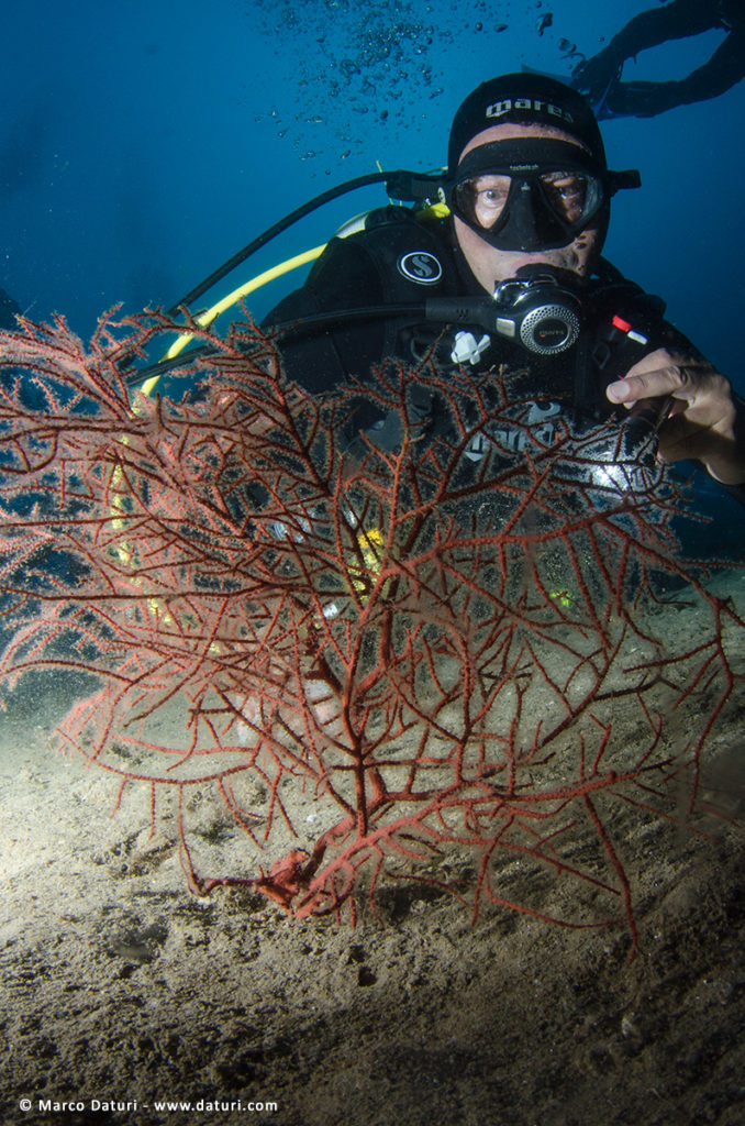 prezzo delle immersioni