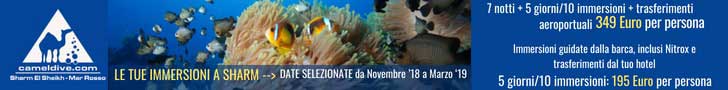 Camel Dive Club Sharm El Sheikh