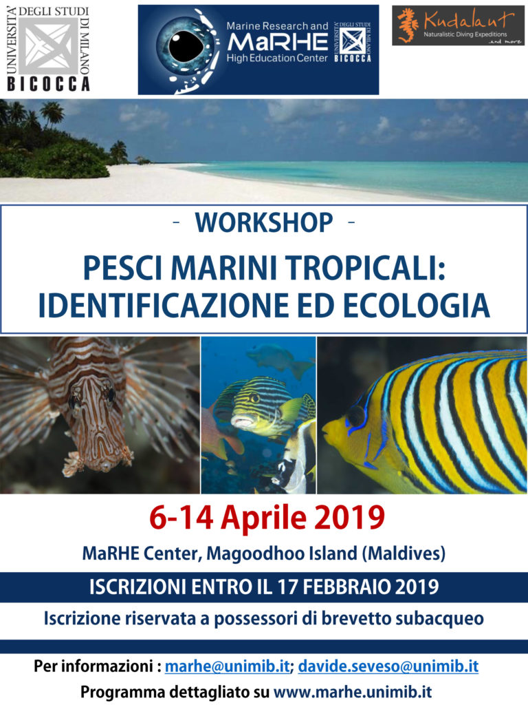 workshop pesci