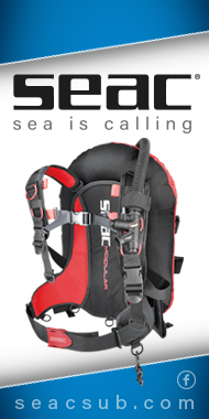 Seac banner Seac banner