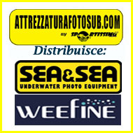 Attrezzatura fotosub Attrezzatura fotosub