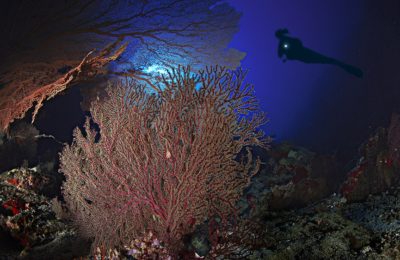 open water a Sharm El-Sheikh