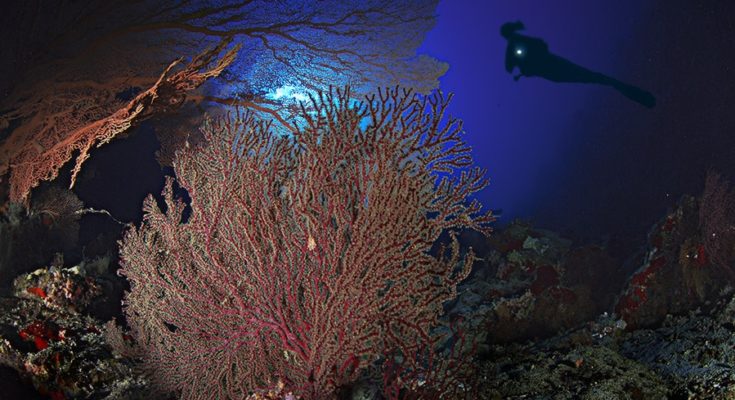 open water a Sharm El-Sheikh