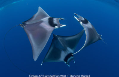 Ocean Art 2018