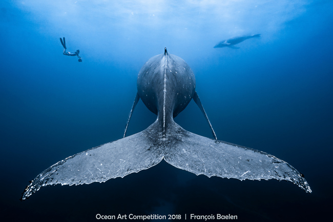 Ocean Art 2018