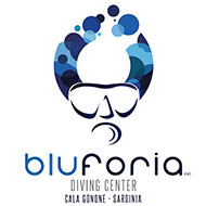 bluforia diving center sardegna bluforia diving center sardegna
