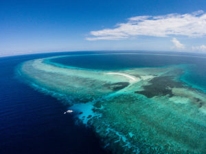 tubbataha reef