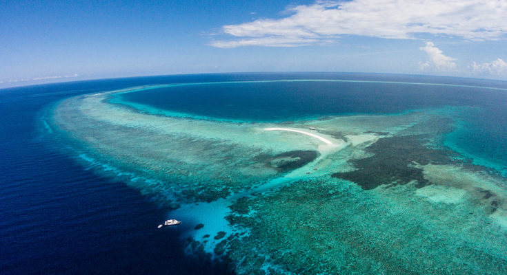 tubbataha reef