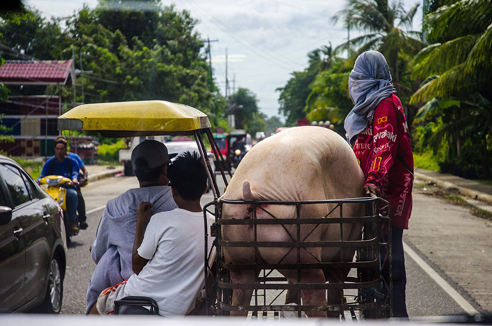 mobilità a Cebu, traffico strada, tricicle, natura