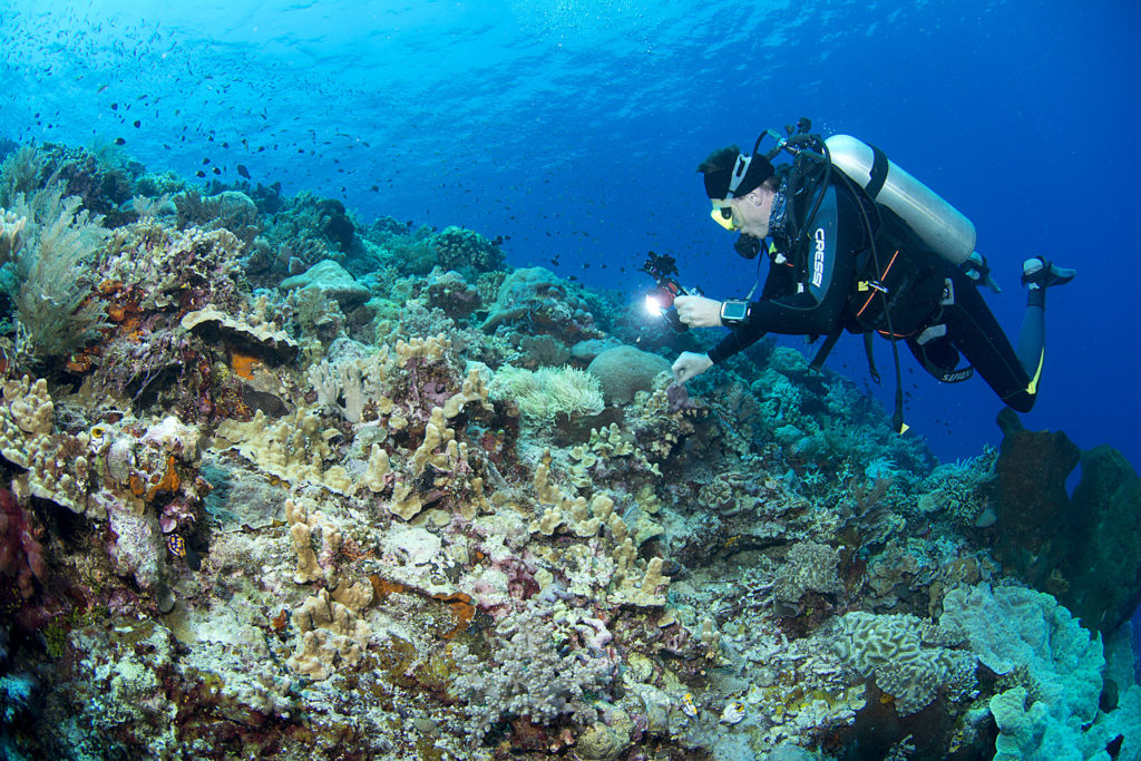 subacqueo in immersione consuma meno aria