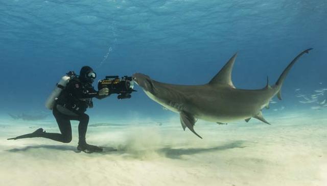 Bahamas