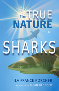 libri sugli squali