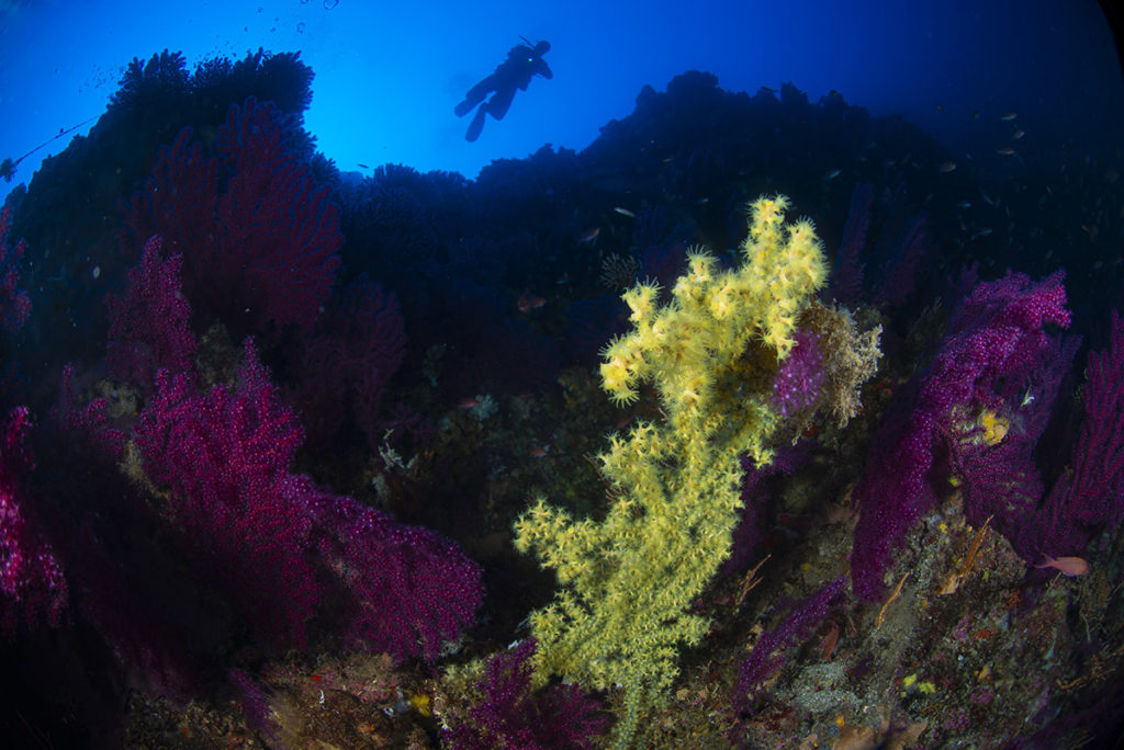 alonissos