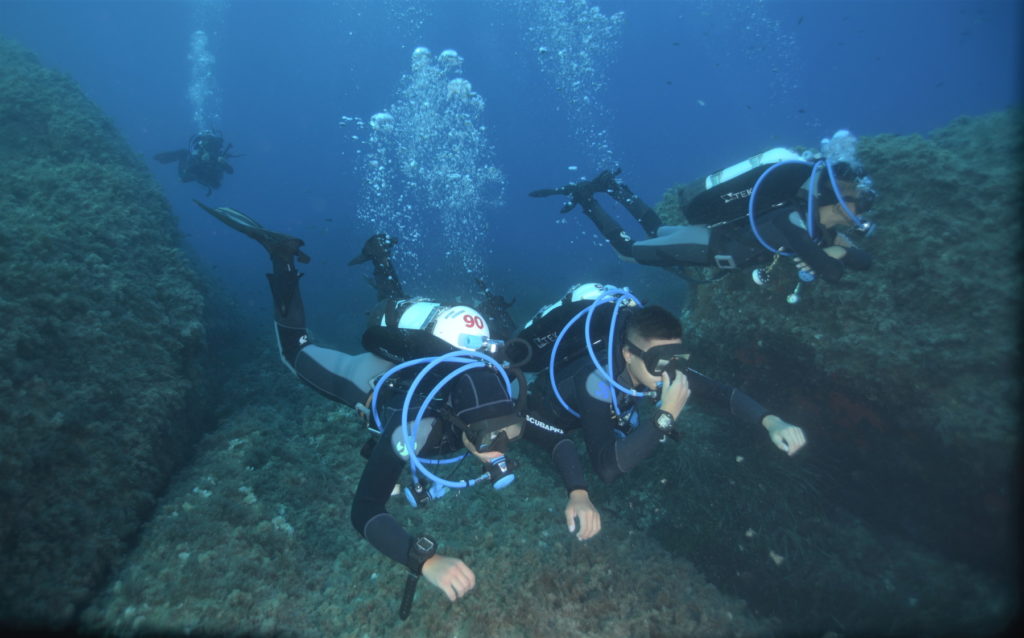 asinara camp