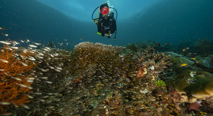 solo diving