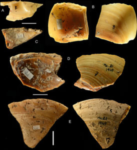 neanderthal subacqueo