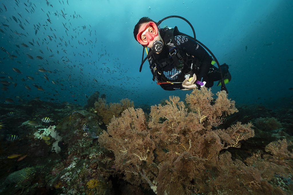 subacquea donna in immersione