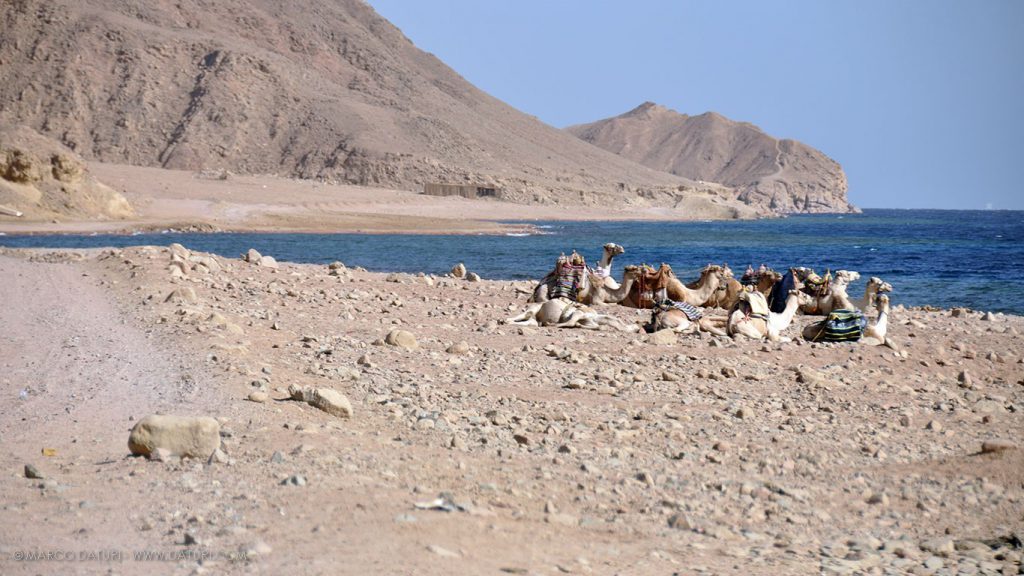 blue hole dahab