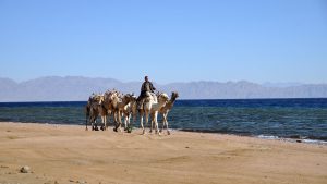 blue hole dahab