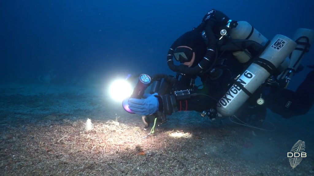 Conoscere il mare per difenderlo