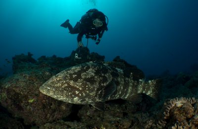 la costa ovest della nuova caledonia