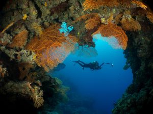 la costa ovest della nuova caledonia