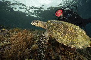 PADI Women’s Dive Day