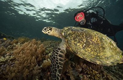 PADI Women’s Dive Day