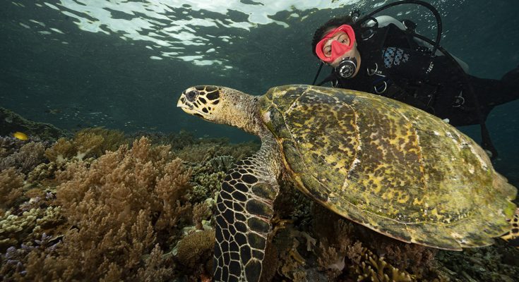 PADI Women’s Dive Day