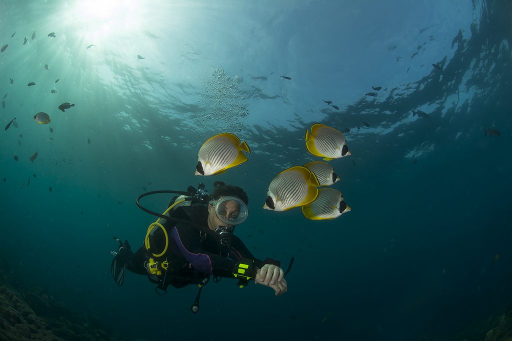 PADI Women’s Dive Day 