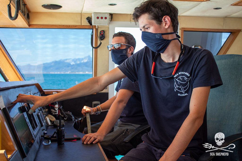 Sea Shepherd in Mediterraneo