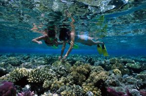 Lo snorkeling per imparare a conoscere il mare