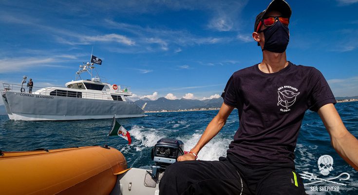 Sea Shepherd in Mediterraneo