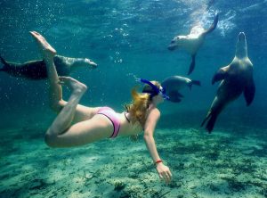 Snorkeling alle Maldive-la scoperta del mondo marino