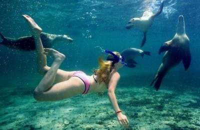 Snorkeling alle Maldive-la scoperta del mondo marino