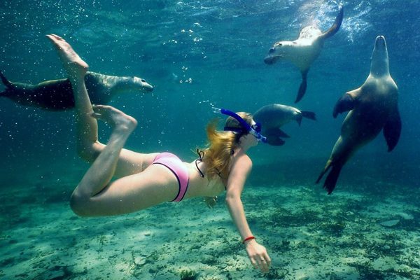 Snorkeling alle Maldive-la scoperta del mondo marino