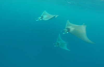 Mediterraneo…e un buongiorno alla Maldiviana