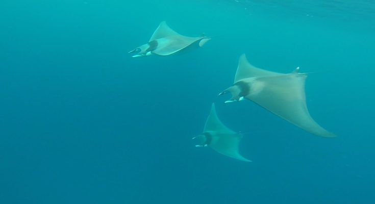 Mediterraneo…e un buongiorno alla Maldiviana