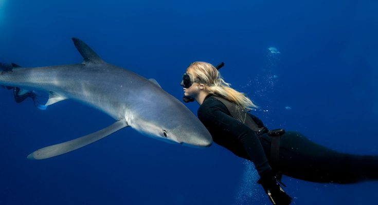 Snorkeling in Baja California