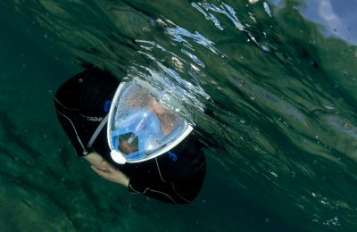 Un mare di fotografie - le storie nascoste degli animali marini