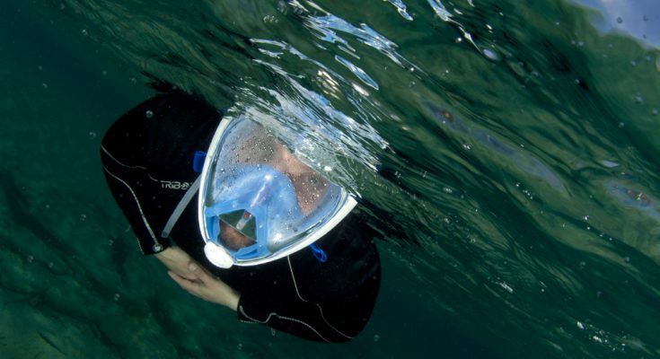 Un mare di fotografie - le storie nascoste degli animali marini