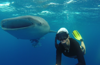 UNO SQUALO BALENA TUTTO TUO, CON MACANA MALDIVES