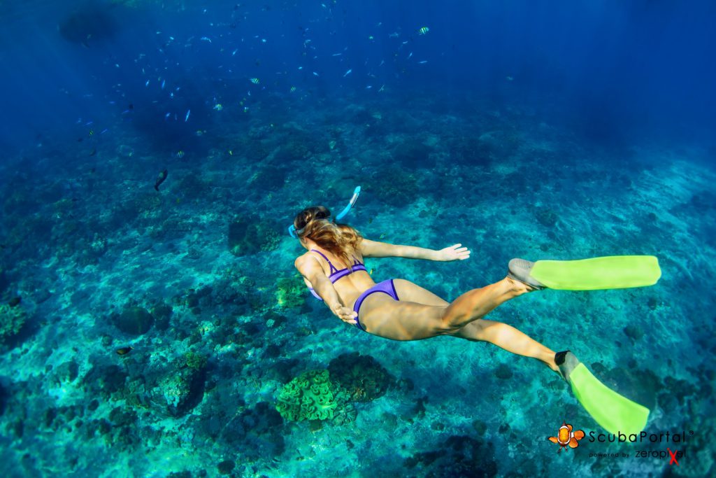 passione snorkeling